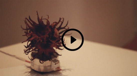 Grados de movimiento Captura video